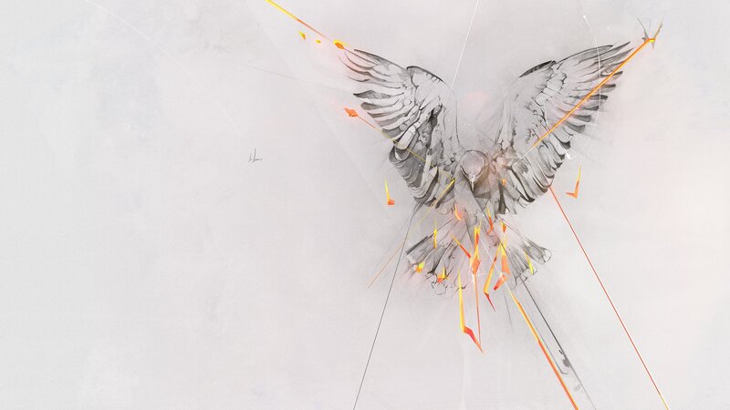 Bird with Outstretched Wings