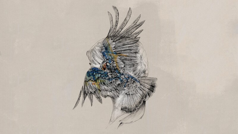 Bird with Spread Wings — Gray