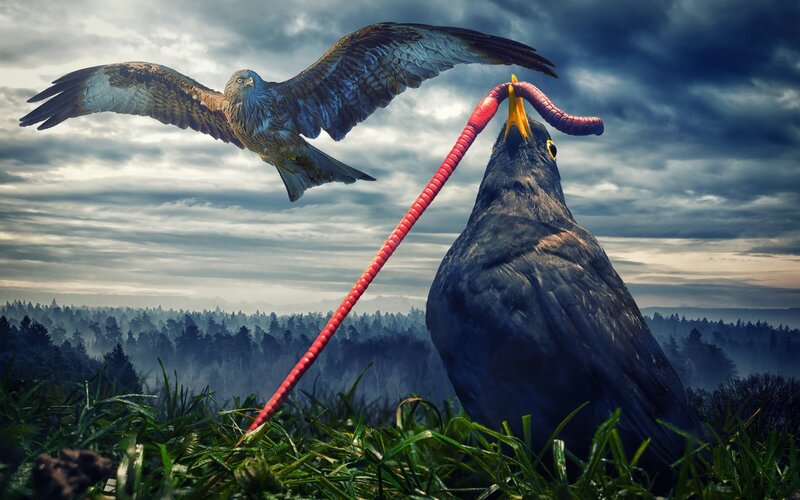 Bird with Worm in Beak — Green