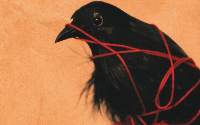 bird wrapped in red string
