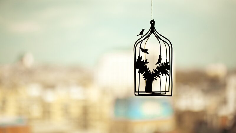 Birdcage silhouette with birds