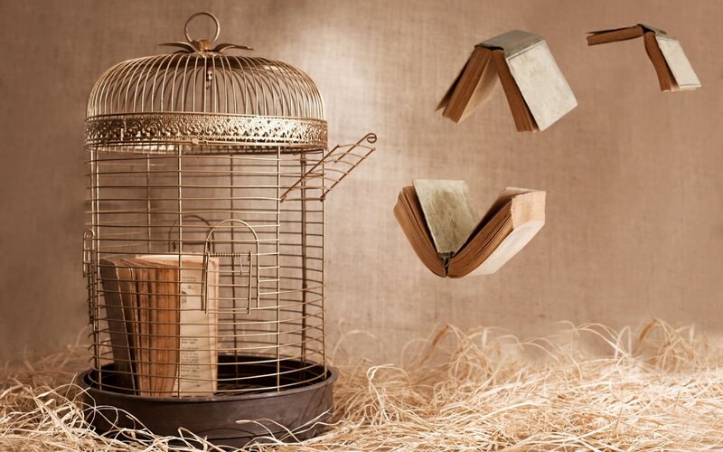 Birdcage with Books