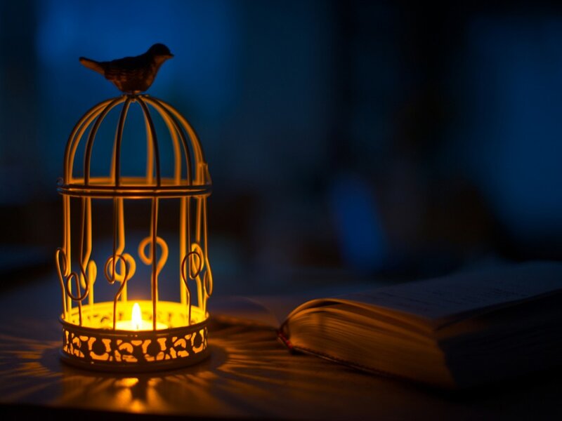 Birdcage with Candle