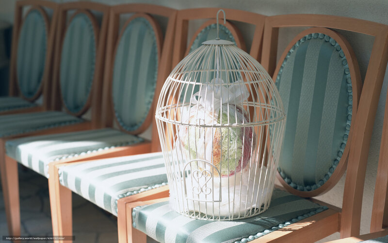 Birdcage with gift on chairs