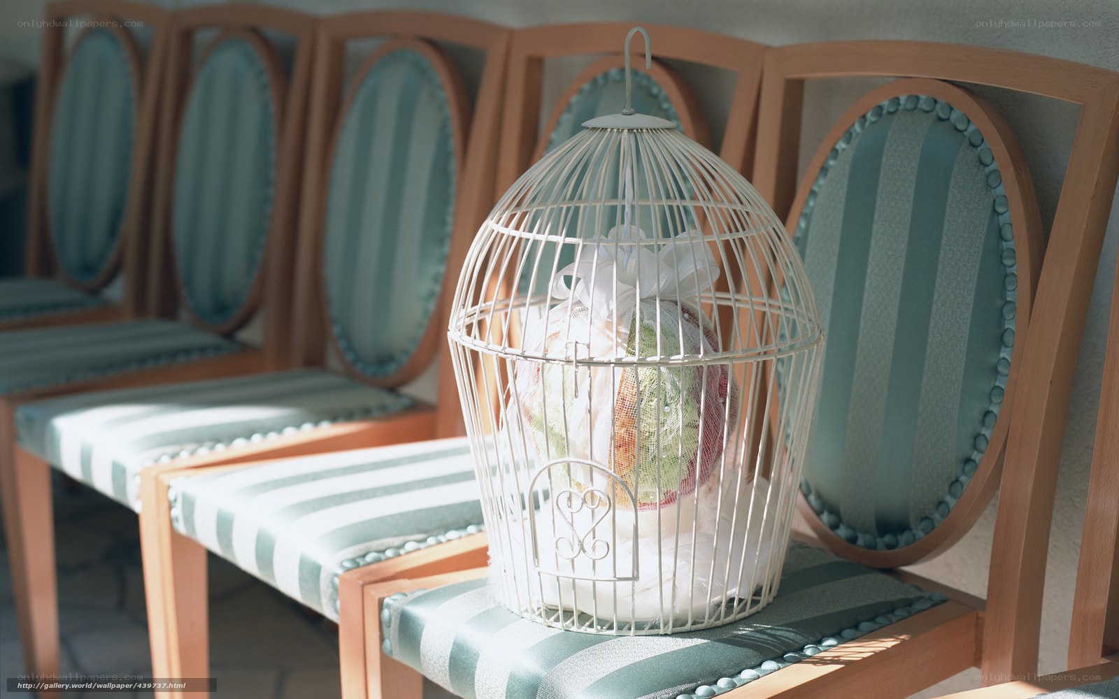 Birdcage with gift on chairs