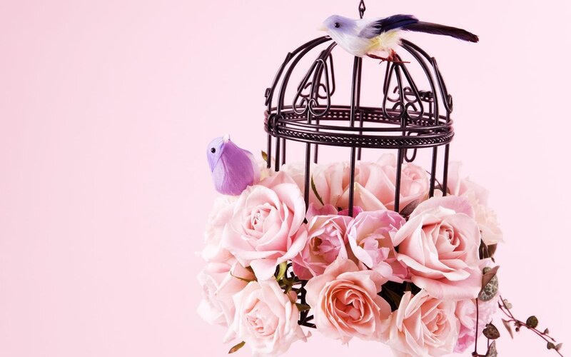 Birdcage with pink roses