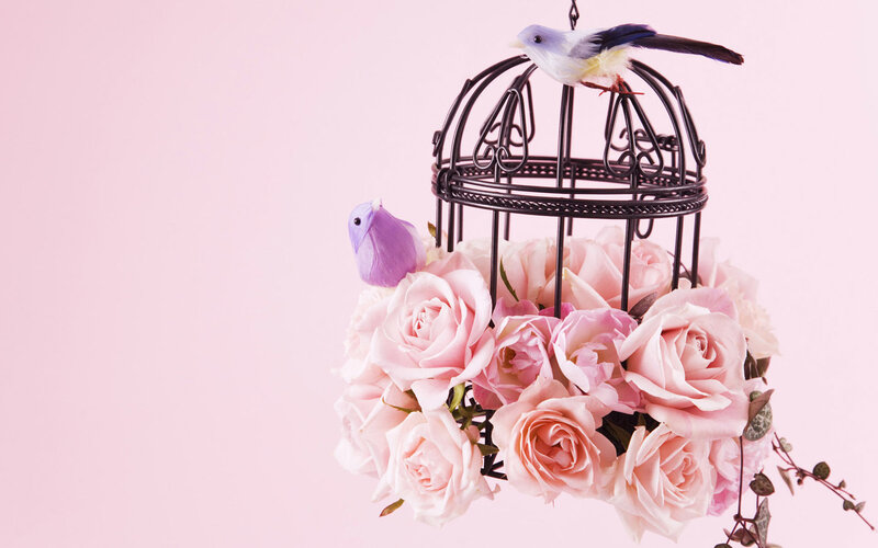 Birdcage with Pink Roses — Serene
