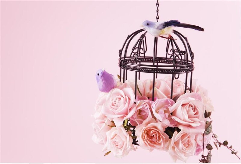 Birdcage with Roses — Pink, Serene