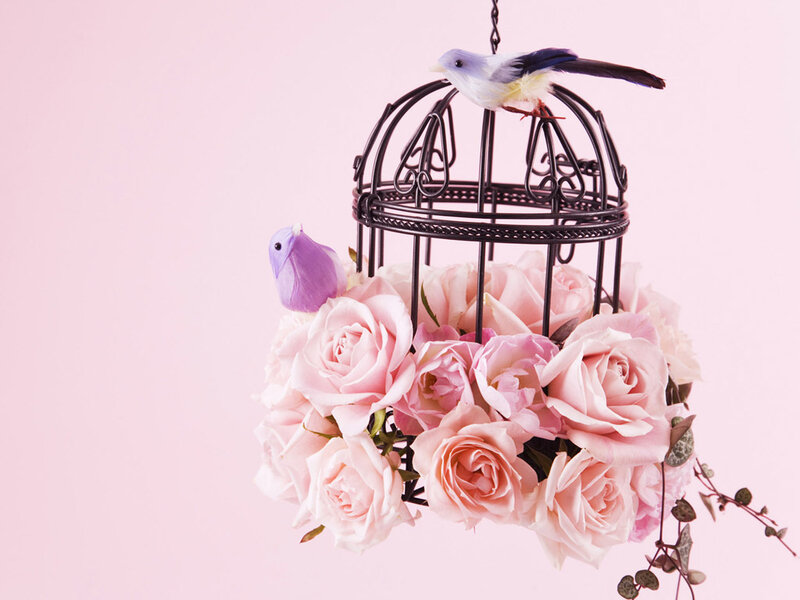 Birdcage with Roses