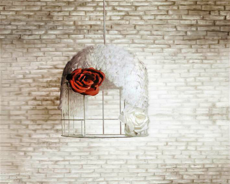 Birdcage with Roses — White