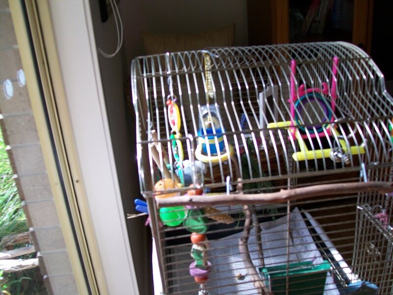 Birdcage with Toys