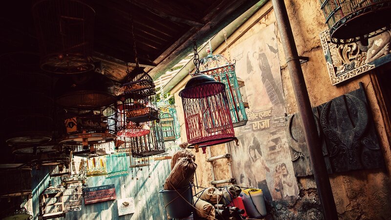 Birdcages in a rustic alley