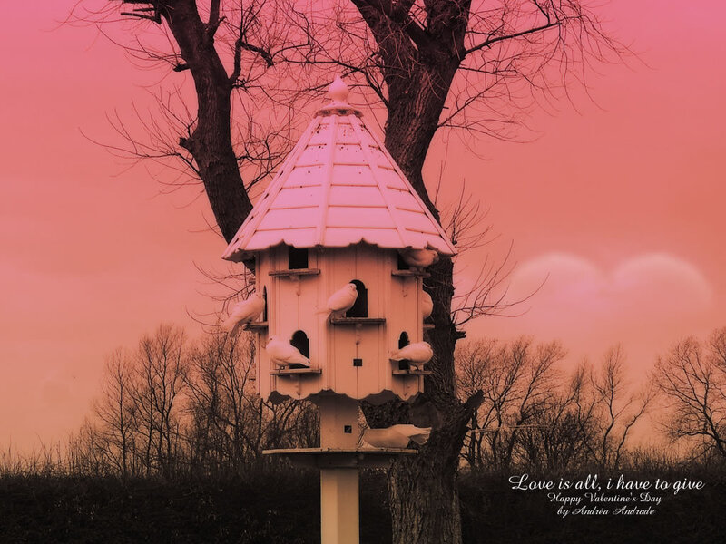 Birdhouse at sunset