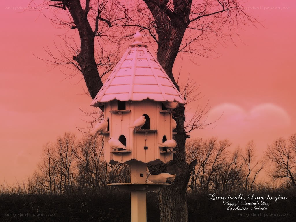 Birdhouse at sunset