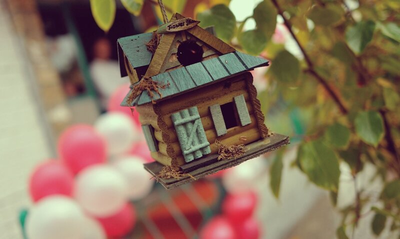 Birdhouse Hanging from Branch