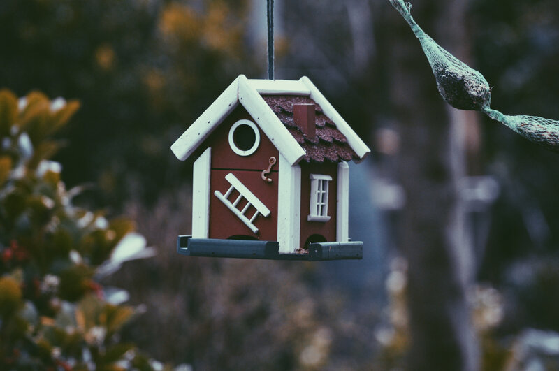 birdhouse hanging in garden