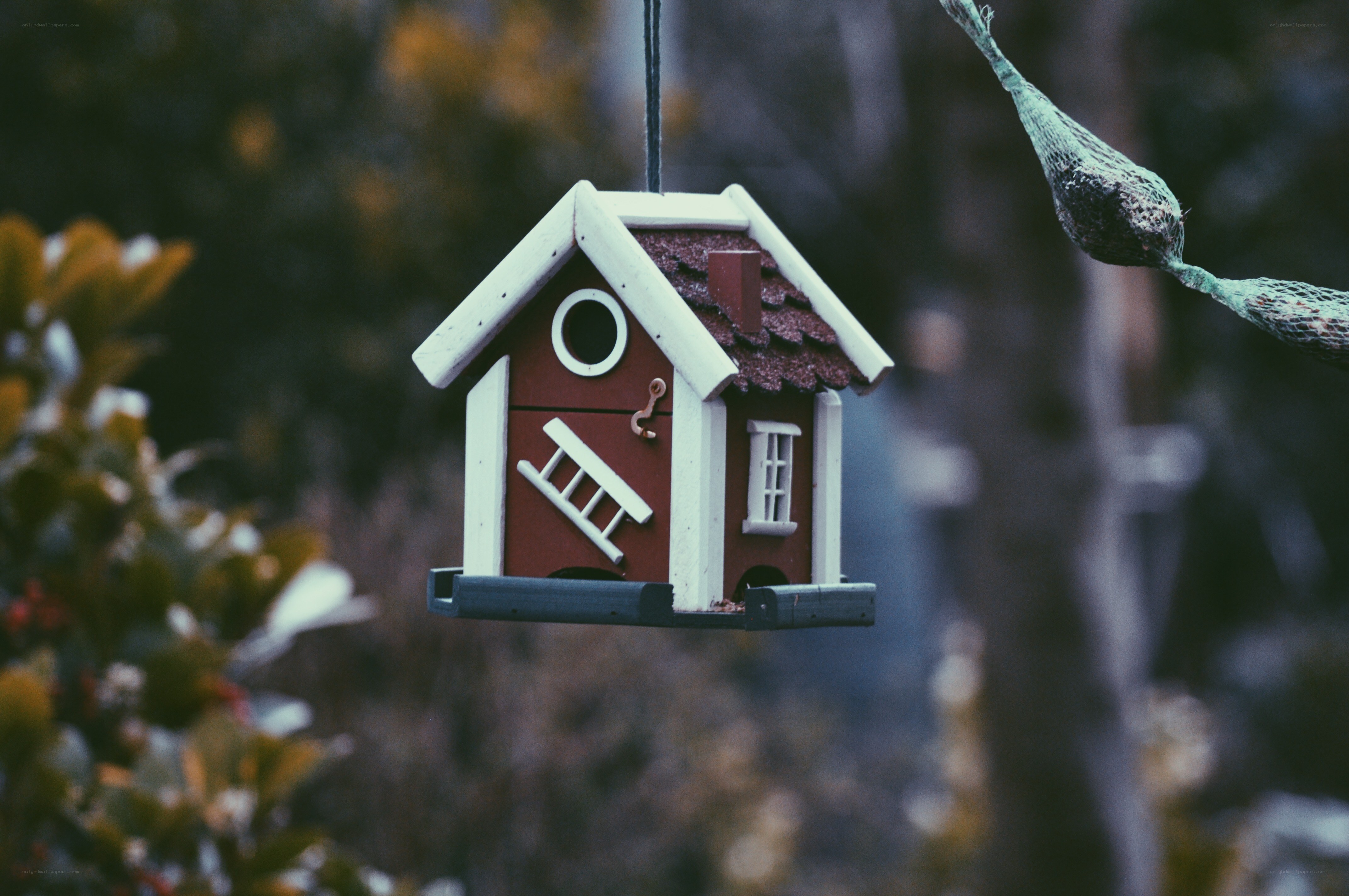 birdhouse hanging in garden