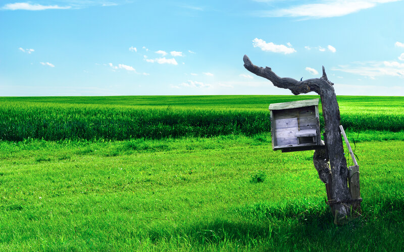 Birdhouse in a green field