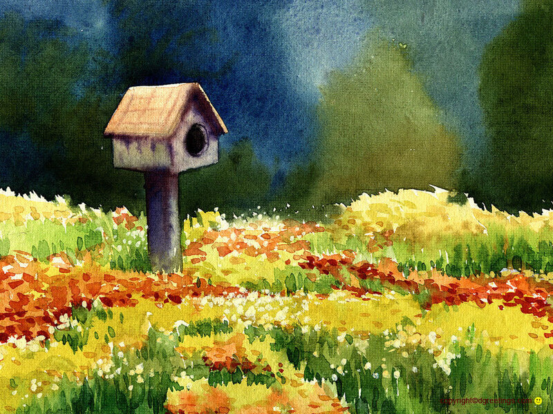 Birdhouse in Flower Field