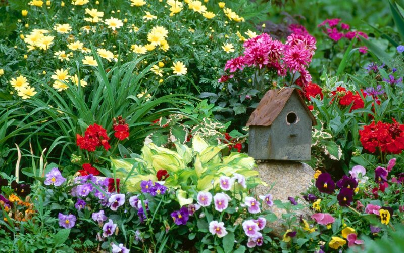 Birdhouse in Flower Garden — Green, Serene, Afternoon