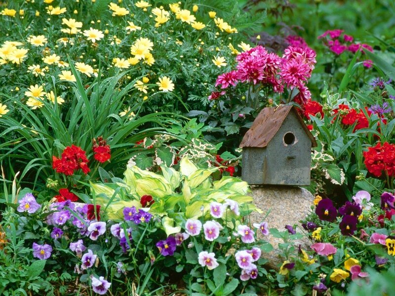Birdhouse in Flower Garden — Green, Serene