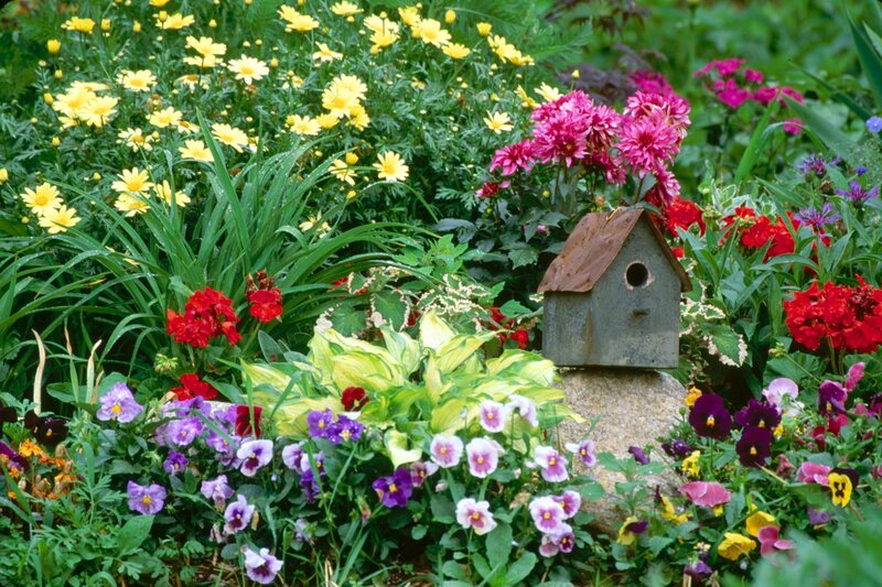 Birdhouse in Flower Garden