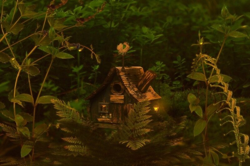 Birdhouse in Forest