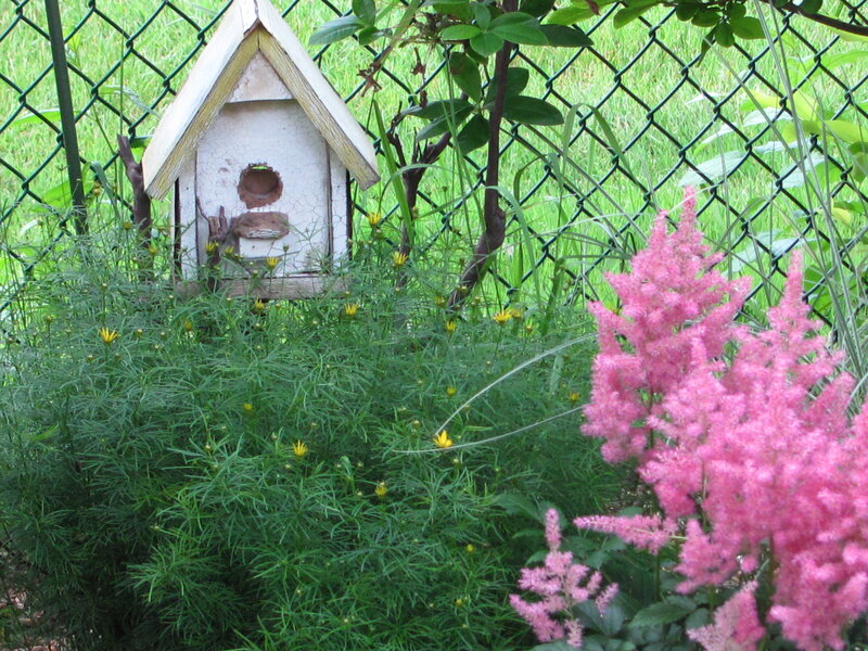 Birdhouse in garden with pink flowers
