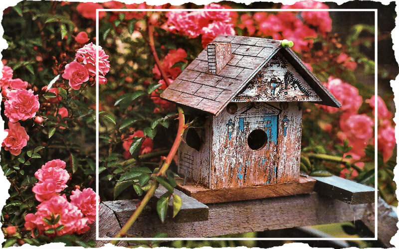 Birdhouse in Rose Garden