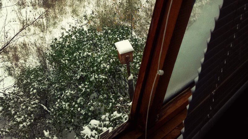 Birdhouse in Snow — White, Calm