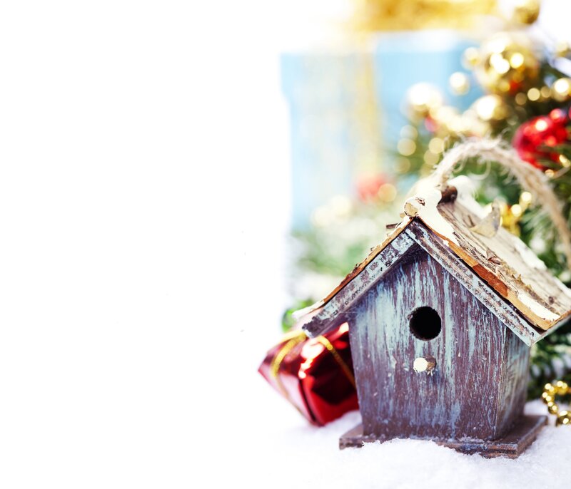 Birdhouse in Snow — White, Festive