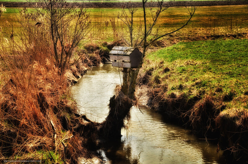 Birdhouse on a creek bank