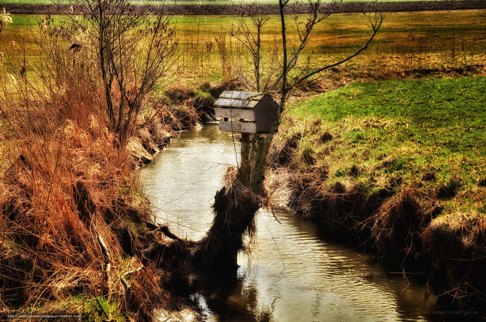 Birdhouse on a creek bank