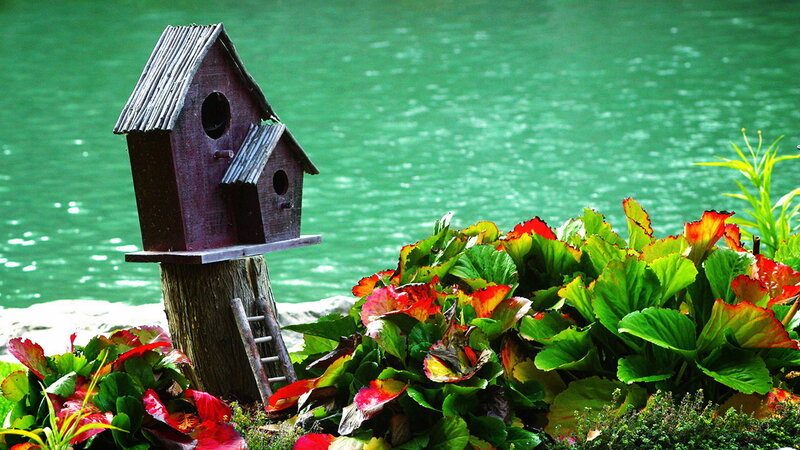Birdhouse on a Post