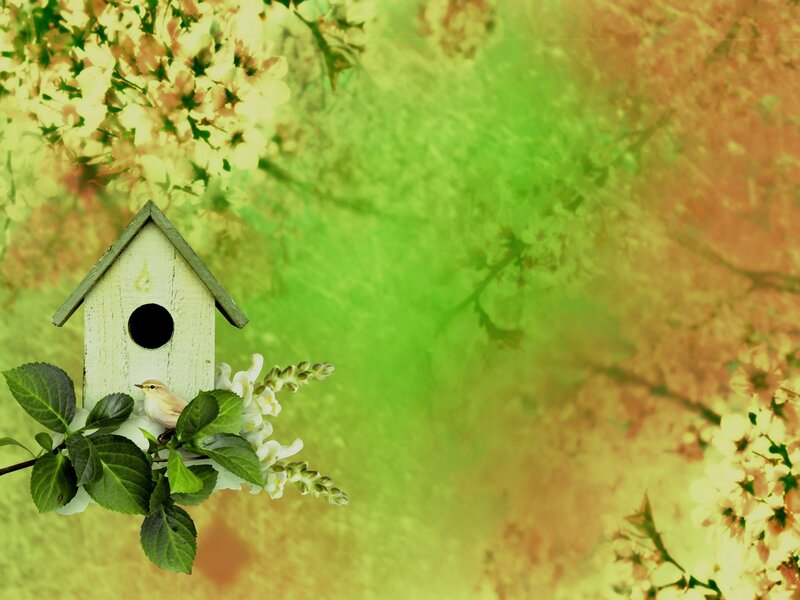 Birdhouse with Bird