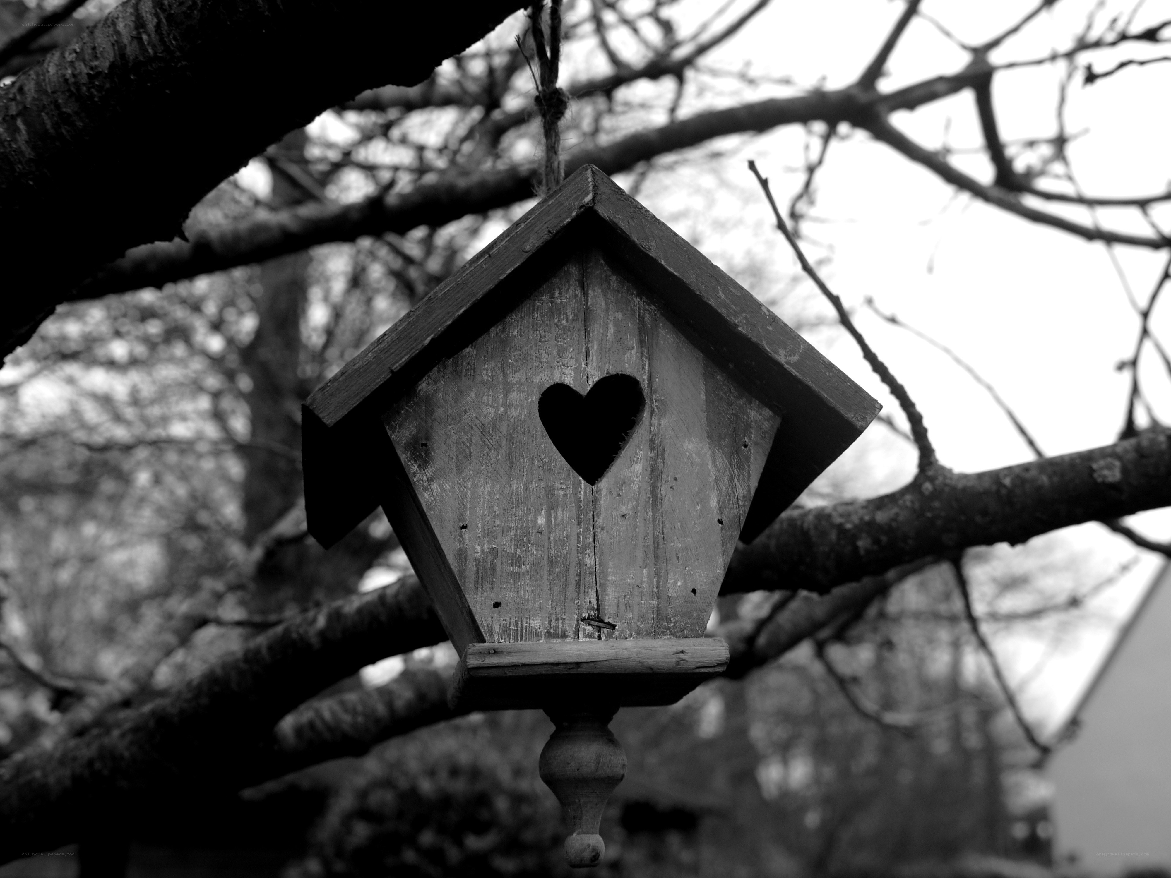 Birdhouse with heart-shaped opening