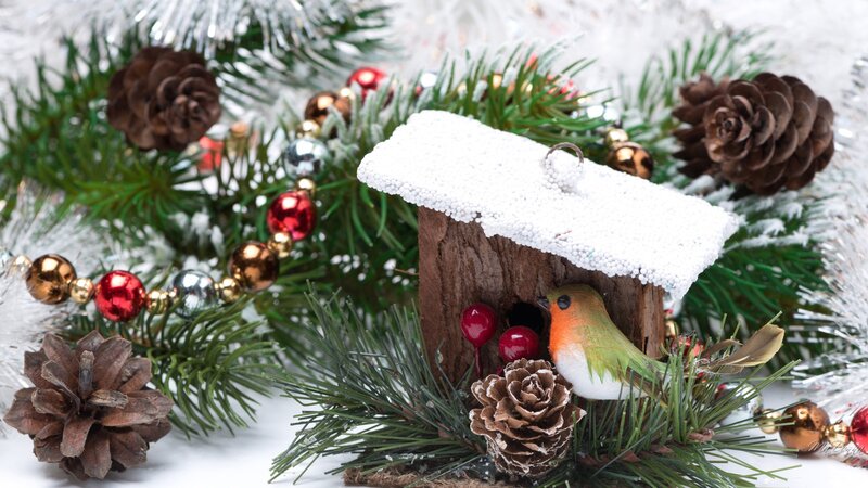 Birdhouse with Robin — Green