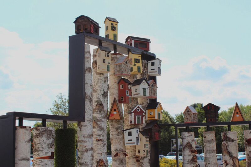 Birdhouses on Birch Poles