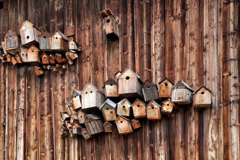 Birdhouses on Wooden Wall — Brown