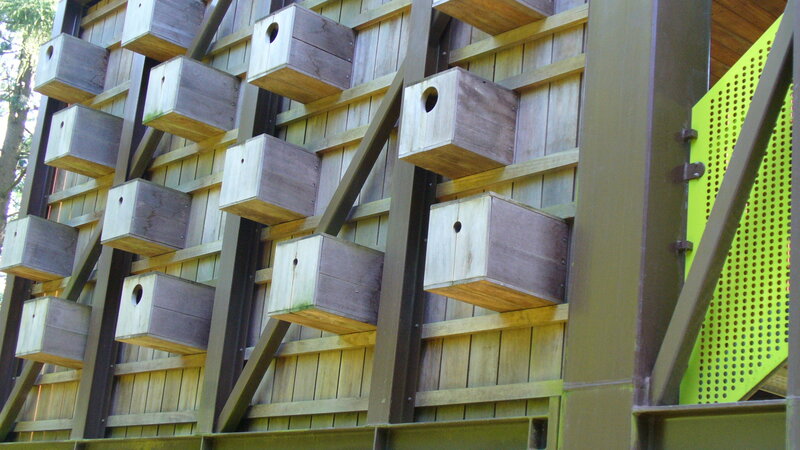Birdhouses on Wooden Wall