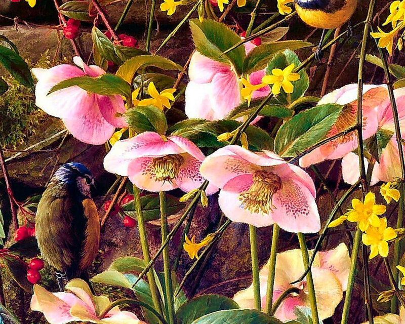 Birds Among Flowers — Pink