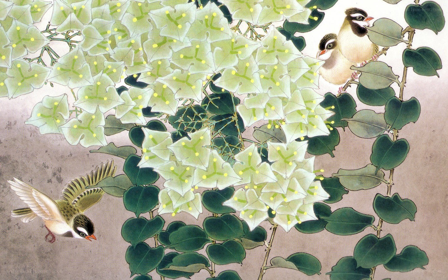 Birds Among White Flowers