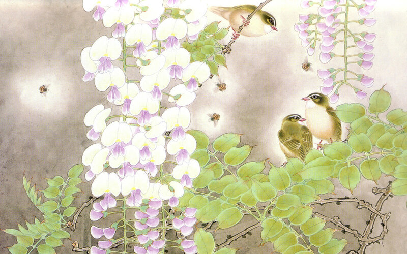 Birds among wisteria blossoms