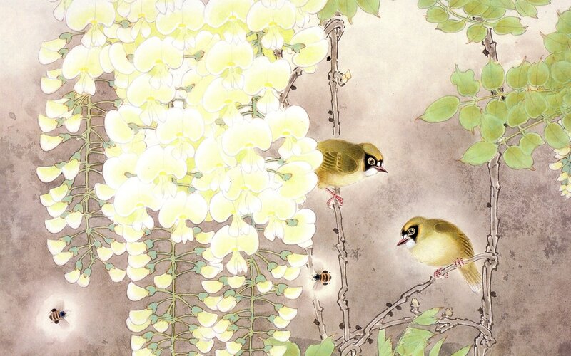 Birds among wisteria blossoms