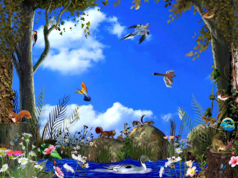 Birds and Animals in Forest