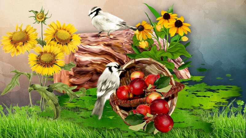 Birds and Apples in Basket
