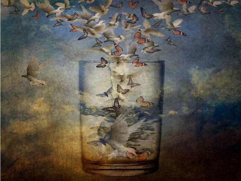Birds and butterflies in a glass