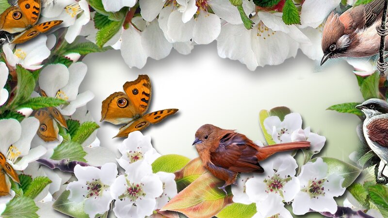 Birds and Butterflies in Flowers
