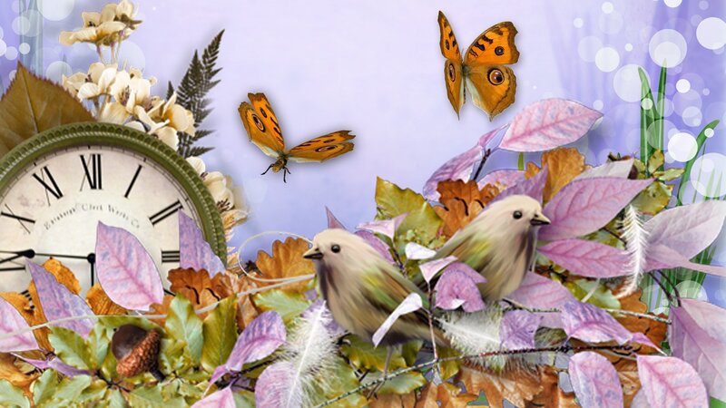 Birds and Butterflies in Foliage