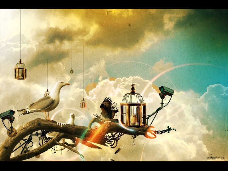 Birds and cages in a surreal sky